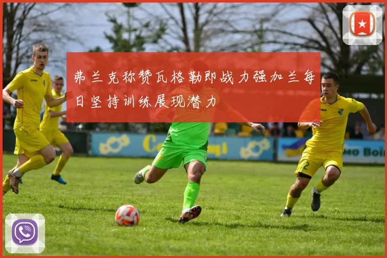 弗兰克称赞瓦格勒即战力强加兰每日坚持训练展现潜力